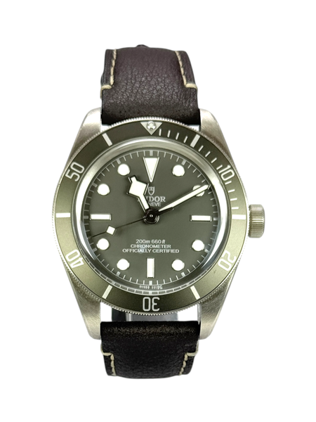 Tudor Black Bay 58 M79010SG-0001
